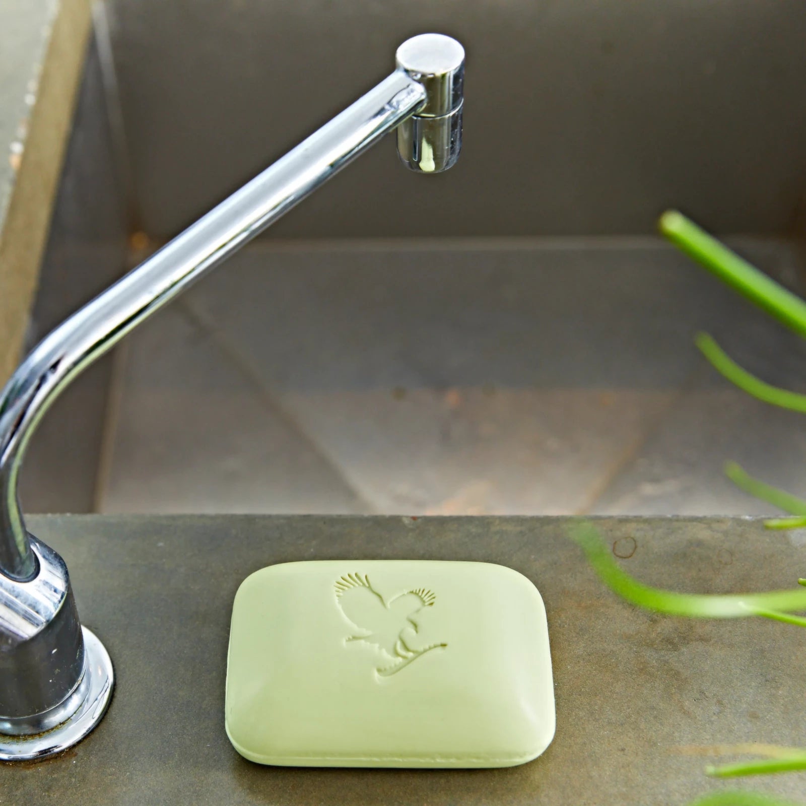 Savon Corps et Visage à l'Aloe et à l'Avocat